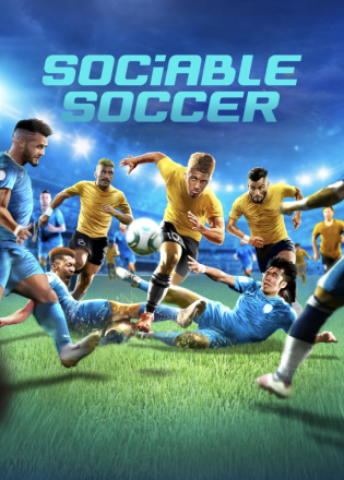 Sociable Soccer