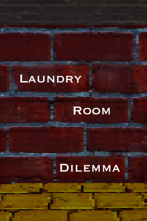 Laundry Room Dilemma