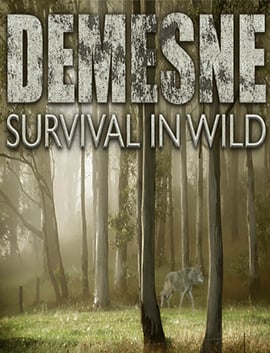 Demesne