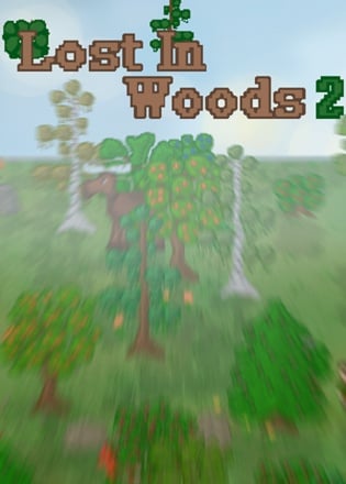 Lost In Woods 2